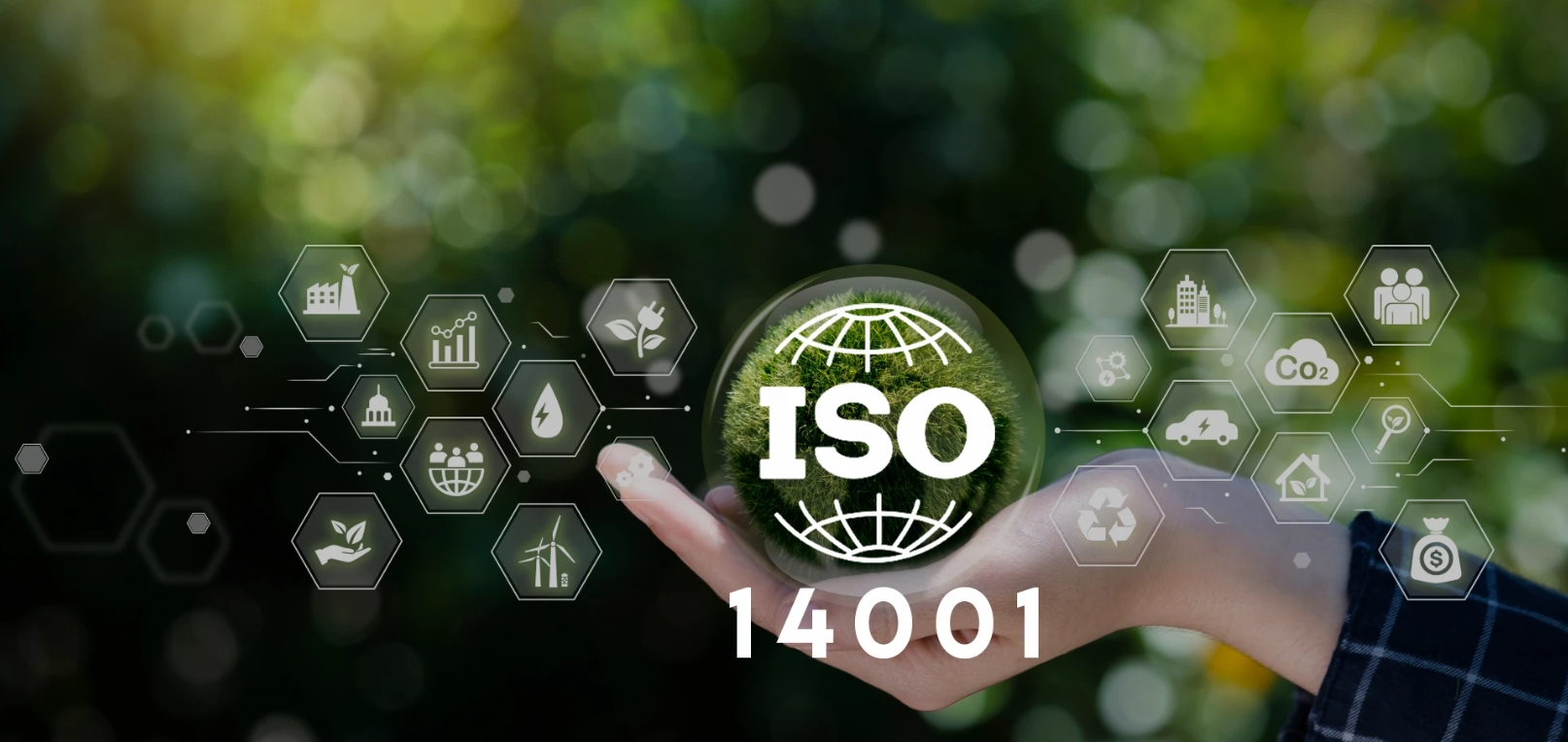 ISO14001认证 – 您需要知道的一切