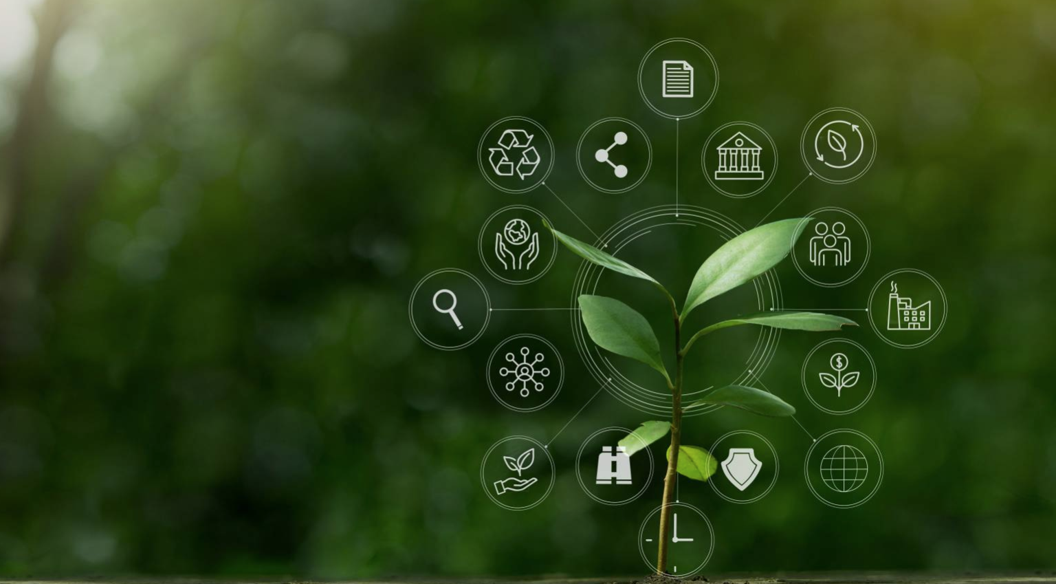 ISO14001:2015环境管理体系 要求及使用指南 解读